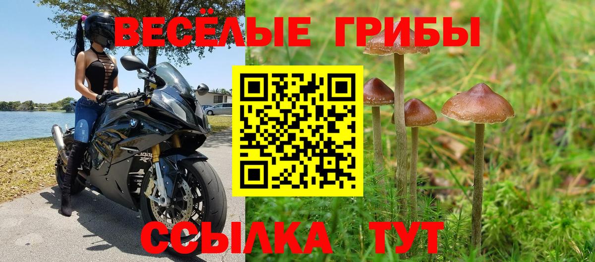 Галлюциногенные грибы мухоморы Новокубанск