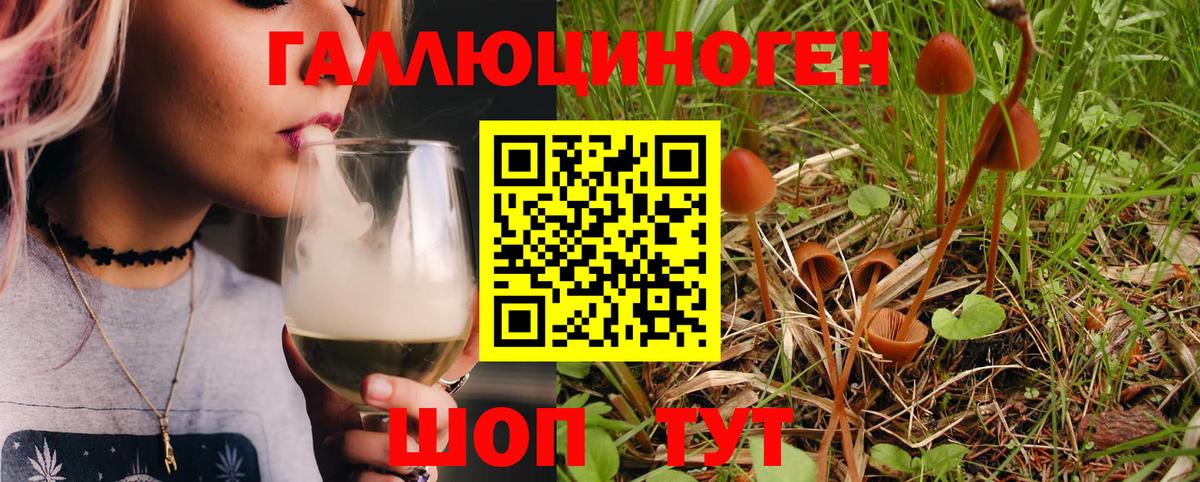 Новокубанск  наркотики  Псилоцибиновые грибы Magic Shrooms  Вход с VPN  Псилоцибиновые грибы Magic Shrooms 
